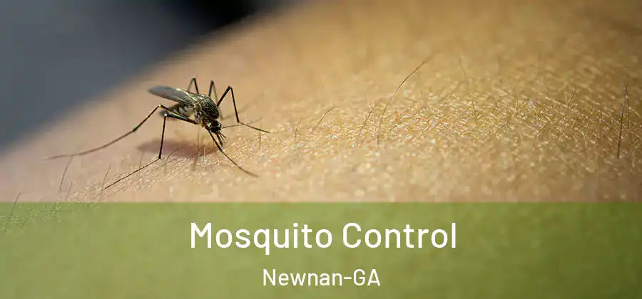 Mosquito Control Newnan-GA