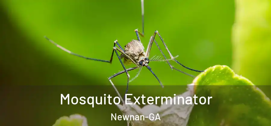 Mosquito Exterminator Newnan-GA