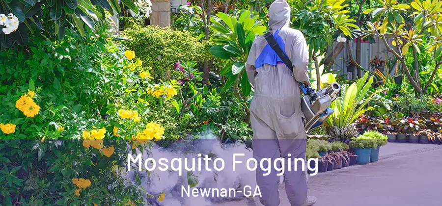 Mosquito Fogging Newnan-GA