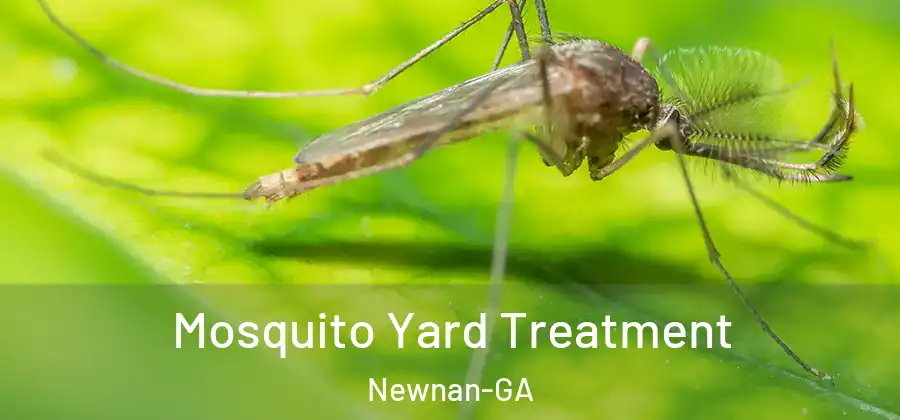 Mosquito Yard Treatment Newnan-GA