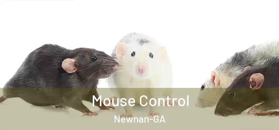 Mouse Control Newnan-GA