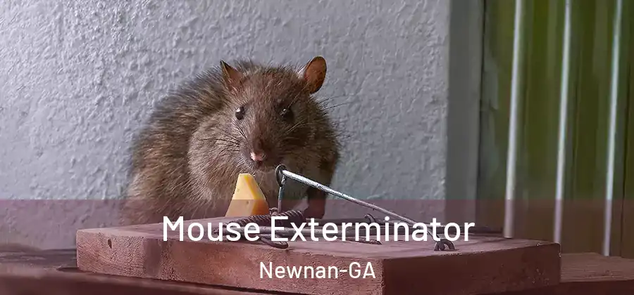 Mouse Exterminator Newnan-GA