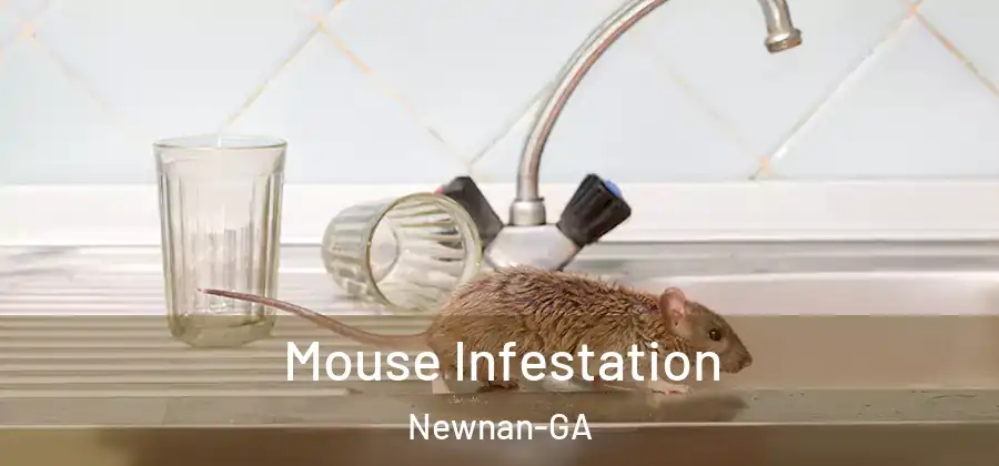 Mouse Infestation Newnan-GA