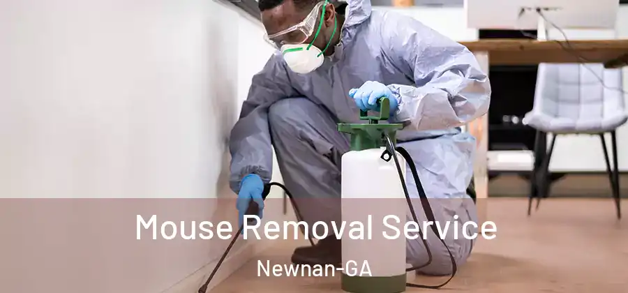 Mouse Removal Service Newnan-GA