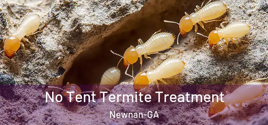 No Tent Termite Treatment Newnan-GA