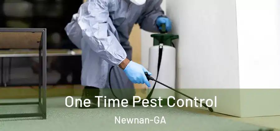  One Time Pest Control Newnan-GA