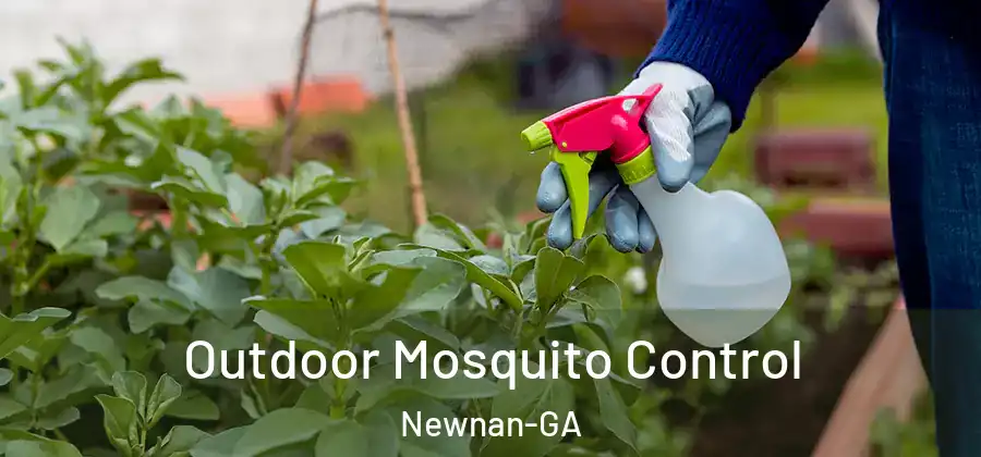 Outdoor Mosquito Control Newnan-GA