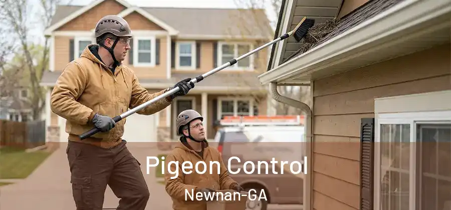 Pigeon Control Newnan-GA