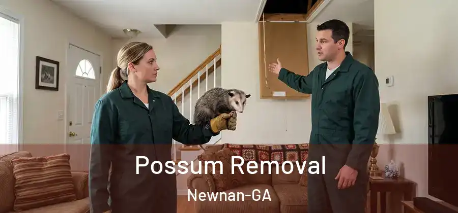  Possum Removal Newnan-GA