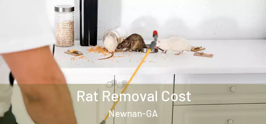  Rat Removal Cost Newnan-GA