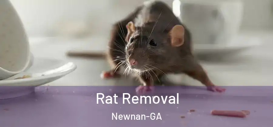  Rat Removal Newnan-GA