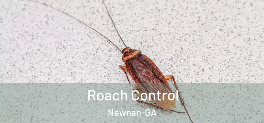 Roach Control Newnan-GA