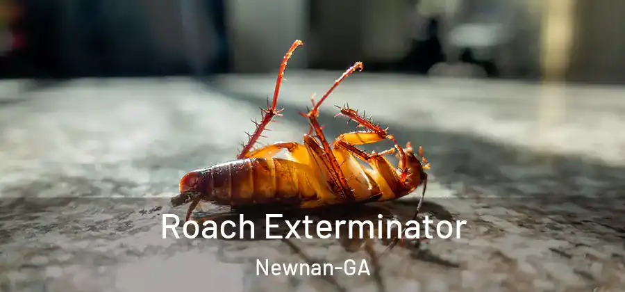Roach Exterminator Newnan-GA