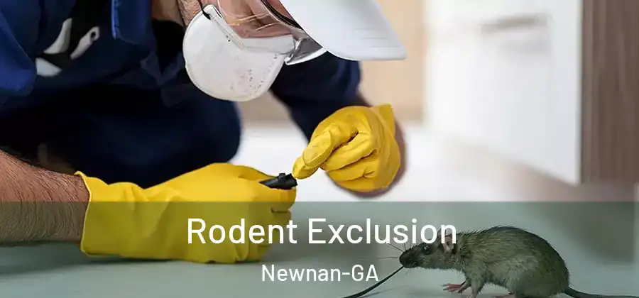  Rodent Exclusion Newnan-GA
