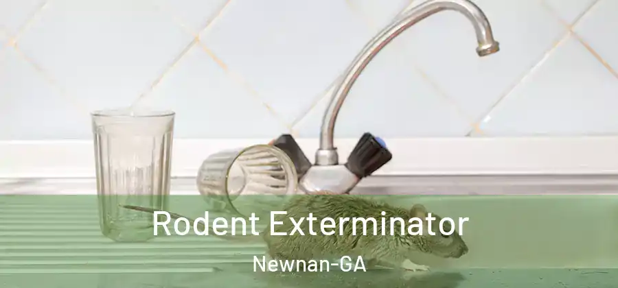 Rodent Exterminator Newnan-GA