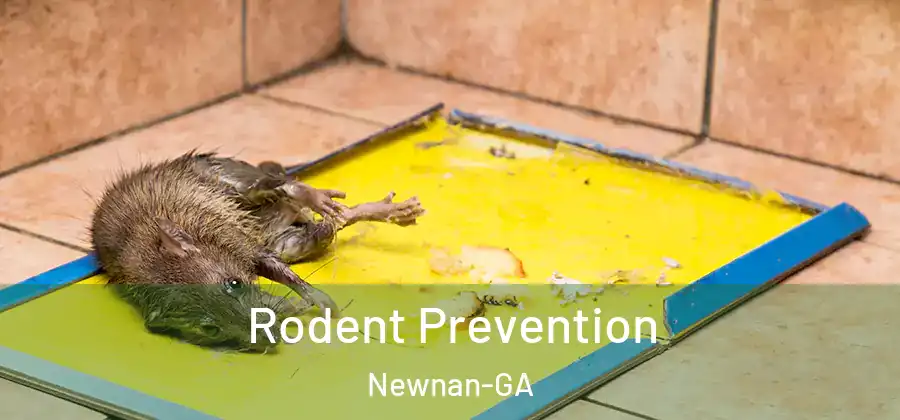 Rodent Prevention Newnan-GA