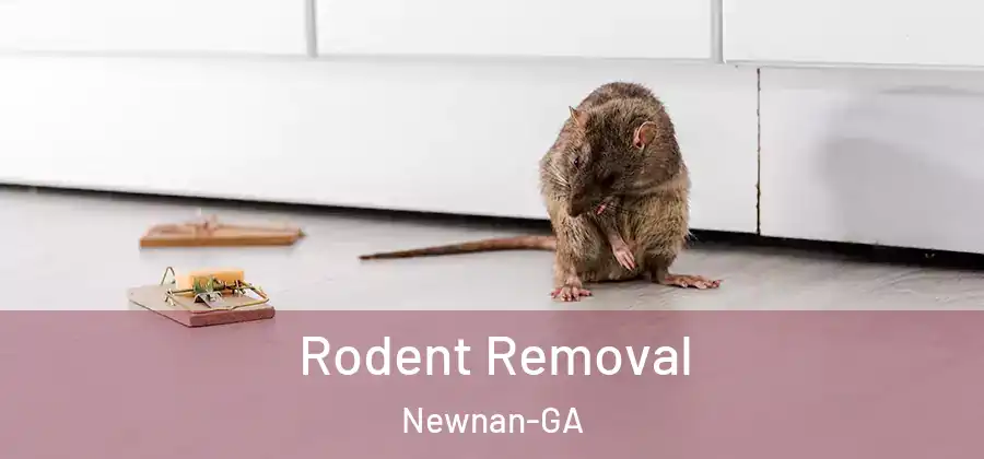 Rodent Removal Newnan-GA