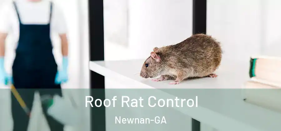  Roof Rat Control Newnan-GA