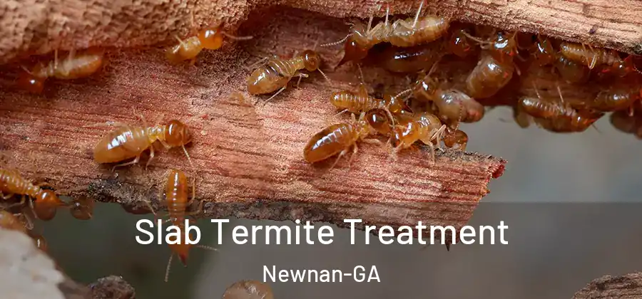 Slab Termite Treatment Newnan-GA