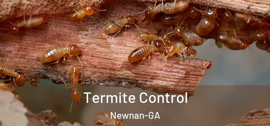 Termite Control Newnan-GA