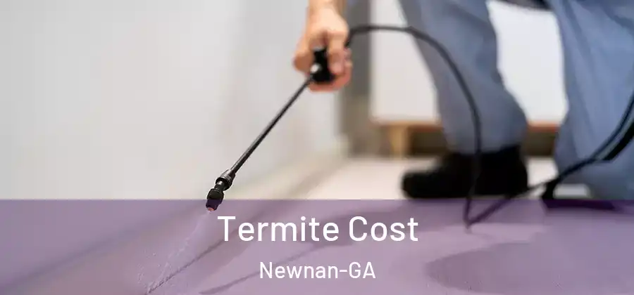Termite Cost Newnan-GA