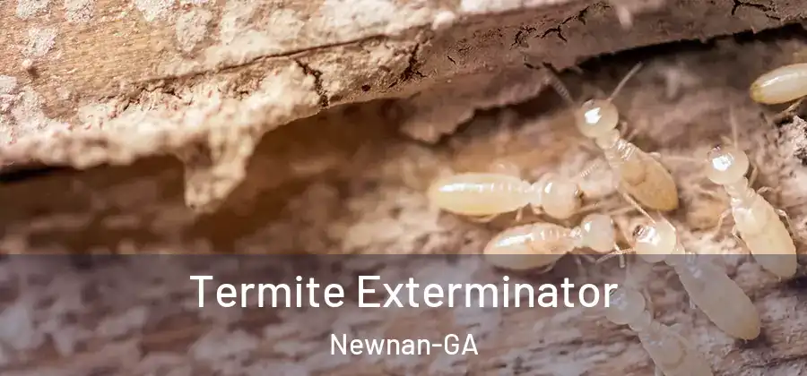 Termite Exterminator Newnan-GA