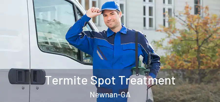 Termite Spot Treatment Newnan-GA