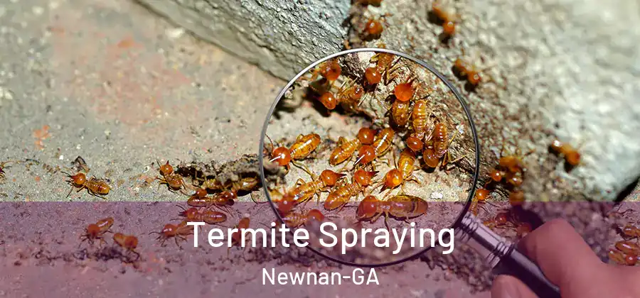 Termite Spraying Newnan-GA