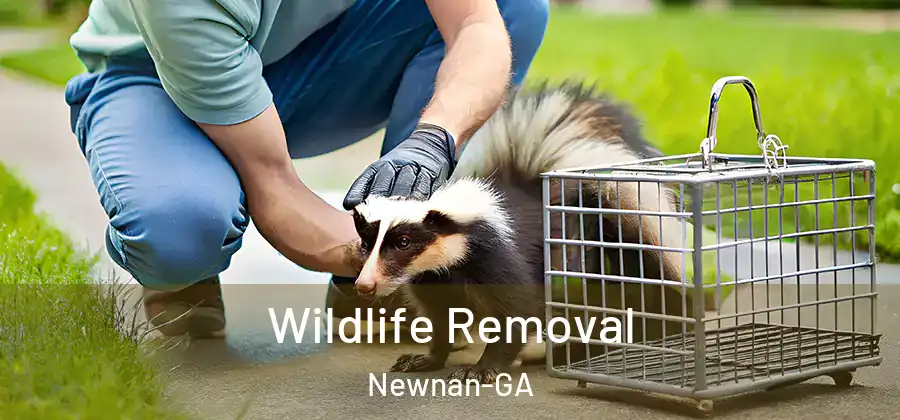 Wildlife Removal Newnan-GA