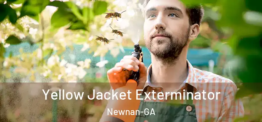Yellow Jacket Exterminator Newnan-GA