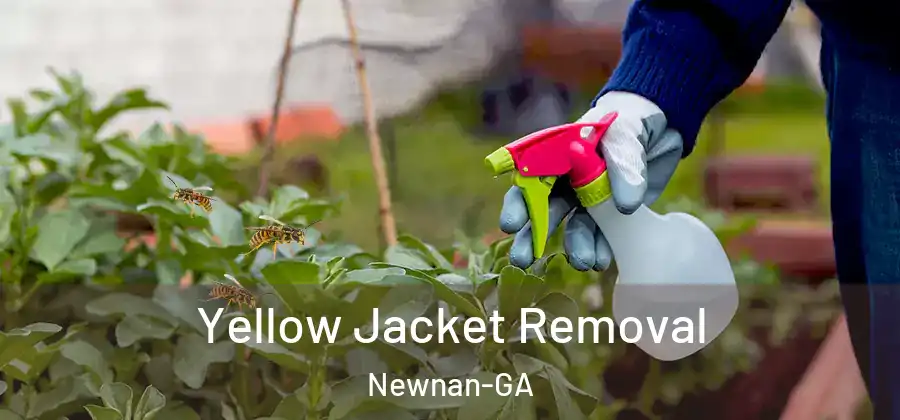  Yellow Jacket Removal Newnan-GA
